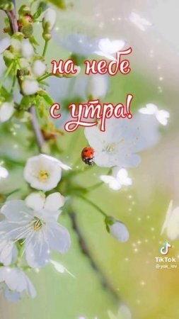 Доброе утро