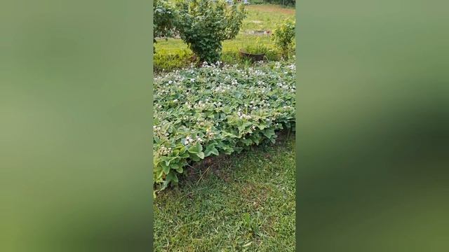 Влог. Всё в одном 2