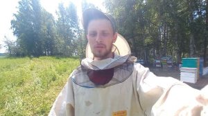 Как проходят дни на пасеке )))