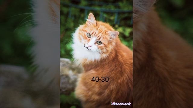 твой балл по экзамену: смотреть онлайн