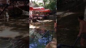 Турция 2025. Баги - сафари, Дим- чай.