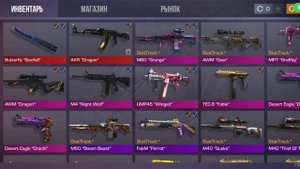 обзор приватки project rise