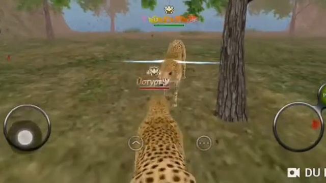 Клип ZEF в Wild Animals Online смотреть онлайн