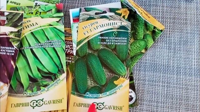 Что осталось посеять. Томаты на месте. Что получится.