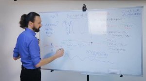 Отрывок из урока "История и эволюция питания" (из видеокурса "17 уроков мудроедения"
