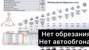 Маркетинг план компании PM-International.