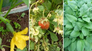 10-11 июня. Мои новости . Город