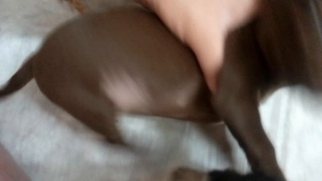 VID_20250611_115701 смотреть онлайн