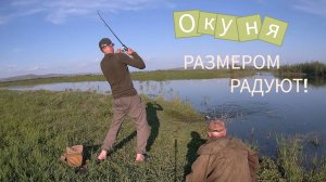 Место не подвело. Свой адреналин я получил. Рыбнадзор на чеку!#рыбалка2025