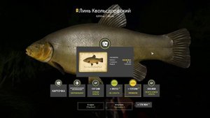 Русская рыбалка 4 трофейный Линь Квольсдорфский на озере Медное