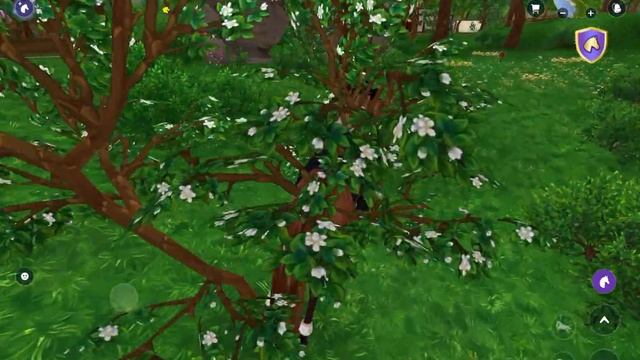 Star Stable Online!запись почему то без звука😅😅 смотреть онлайн