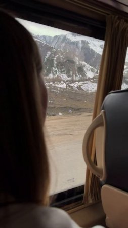 История о том, как мы с командой поехали в Грузию. Часть 3