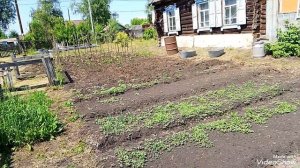 Огородные дела, ну и вообще 😛 поболтаем.