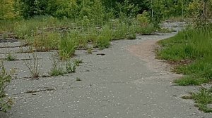 проникли в заброшенное автобусное депо