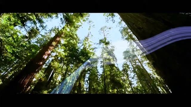 Кондиционер Haier Lightera Crystal смотреть онлайн