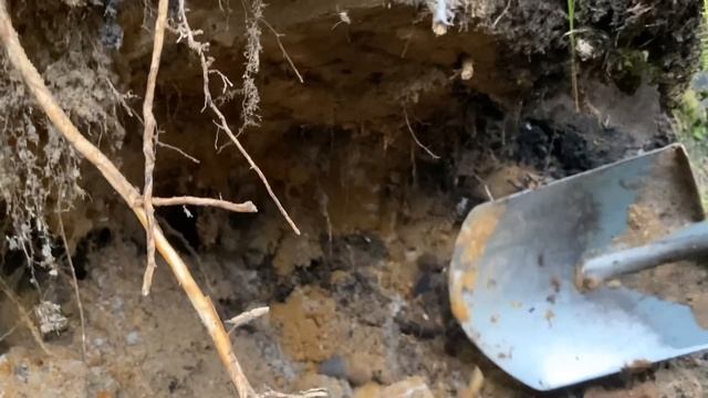 Коп по войне . Блиндаж Испанцев под Ленинградом!