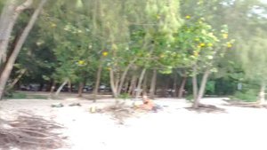 Пляж Ноппарат Тара в Краби.  Западная часть.