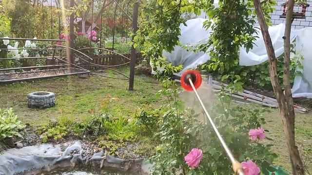Радостная встреча. Мои сокровища. Наконец-то дождались