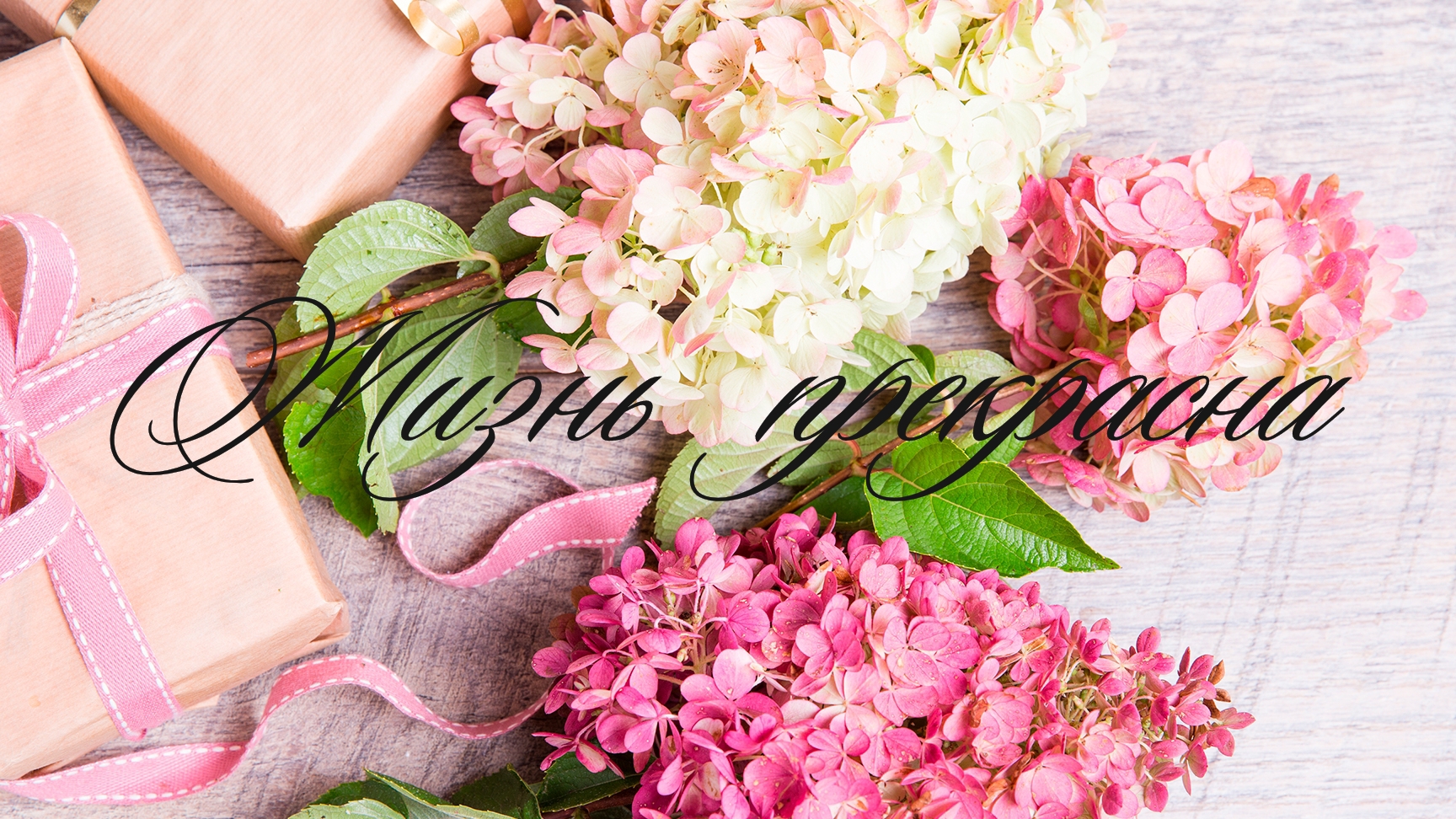 11-06-2025 Разговор за чашкой чая. Песня для души💖