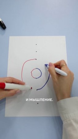 Пользу нейроупражнений уже давно признают эксперты по всему миру.
