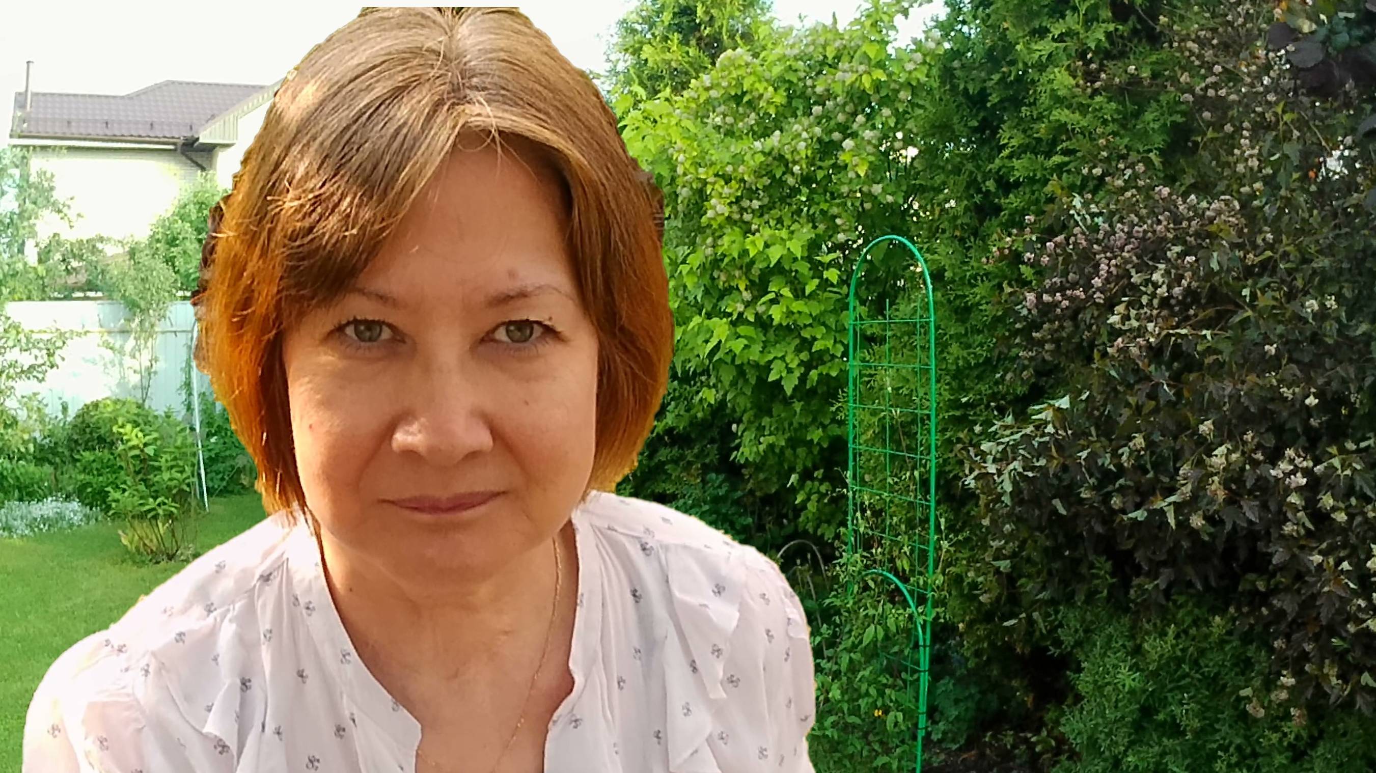 Ливень, град в Подмосковье. Проредила живую изгородь. Ландшафтный дизайн.