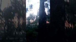 последствия урагана в Некрасовском #андрейродионов #уроган #некрасовское