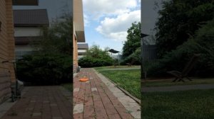 Шарик с водой!