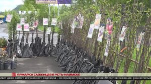 Новости ИРТ 09.06.2025