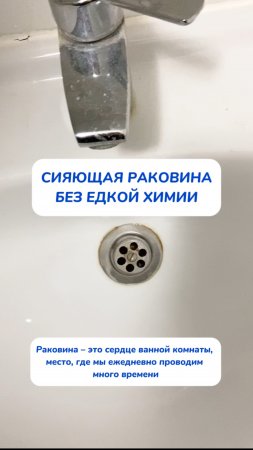 Секрет белой раковины