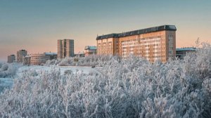 Людям в белых халатах посвящается