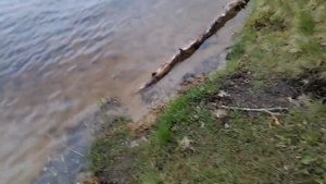 Рыбалка на Пасторском озере #рыбалка #рыба