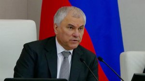 Немецкие власти толкают Германию на еще один вооруженный конфликт с Россией, заявил Вячеслав Володин