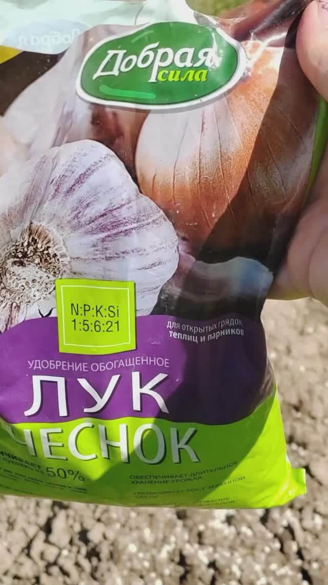 Чем заправить грядку для лука весной #лук #чеснок