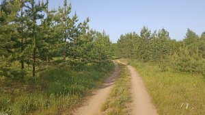 Дорога ведёт в лето. Красивая мелодия для души.