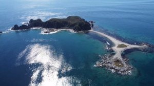 Остров Опасный 30.09.24