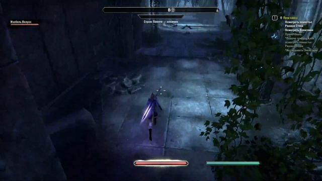 The elder scrolls online Прохождение часть 309 Западный Вельд В по?