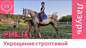 Укрощение строптивой в Поместье конюшни "Конная эстетика" в Елабужском районе, с. Танайка