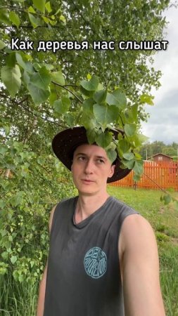 Как мы разговариваем с деревьями