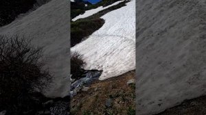 красивейшая Красная гора. Горный Алтай #shortsvideo #travel#shorts