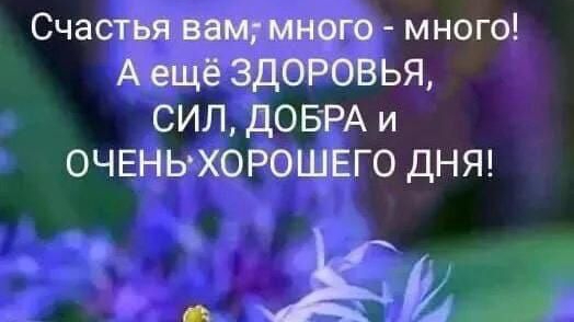 11-06-2025 Жизнь в деревне 🏡. Огородная жизнь.