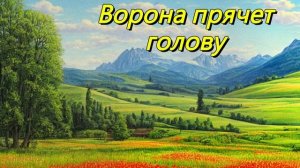 Ворона прячет голову