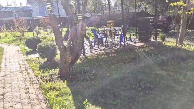 Отвезла внука домой а мама и Симона остались на даче🏠 смотреть онлайн