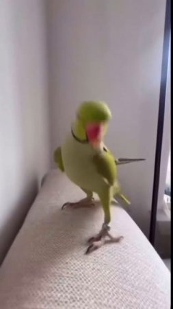 😃😃😃
