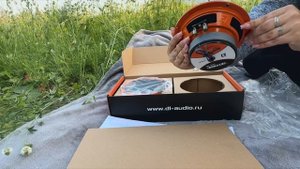 Громкие динамики от компании Dl Audio Grypnon PRO 165 SE