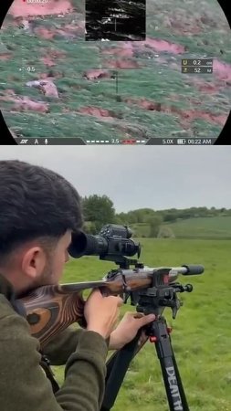Классная работа мелкашки с банкой🔥 карабин CZ 455 #охота