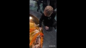 карпы кои москвариуие!!