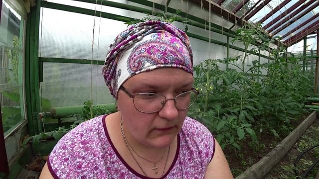 Томаты. Как получить хорошую завязь?