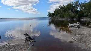 Everglades National Park. Florida. Национальный парк Эверглейдс. Штат