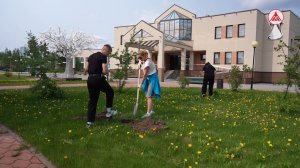 В Когалыме продолжается благоустройство и озеленение города