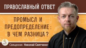 ПРОМЫСЛ И ПРЕДОПРЕДЕЛЕНИЕ:  В ЧЁМ РАЗНИЦА ?  Священник Николай Святченко